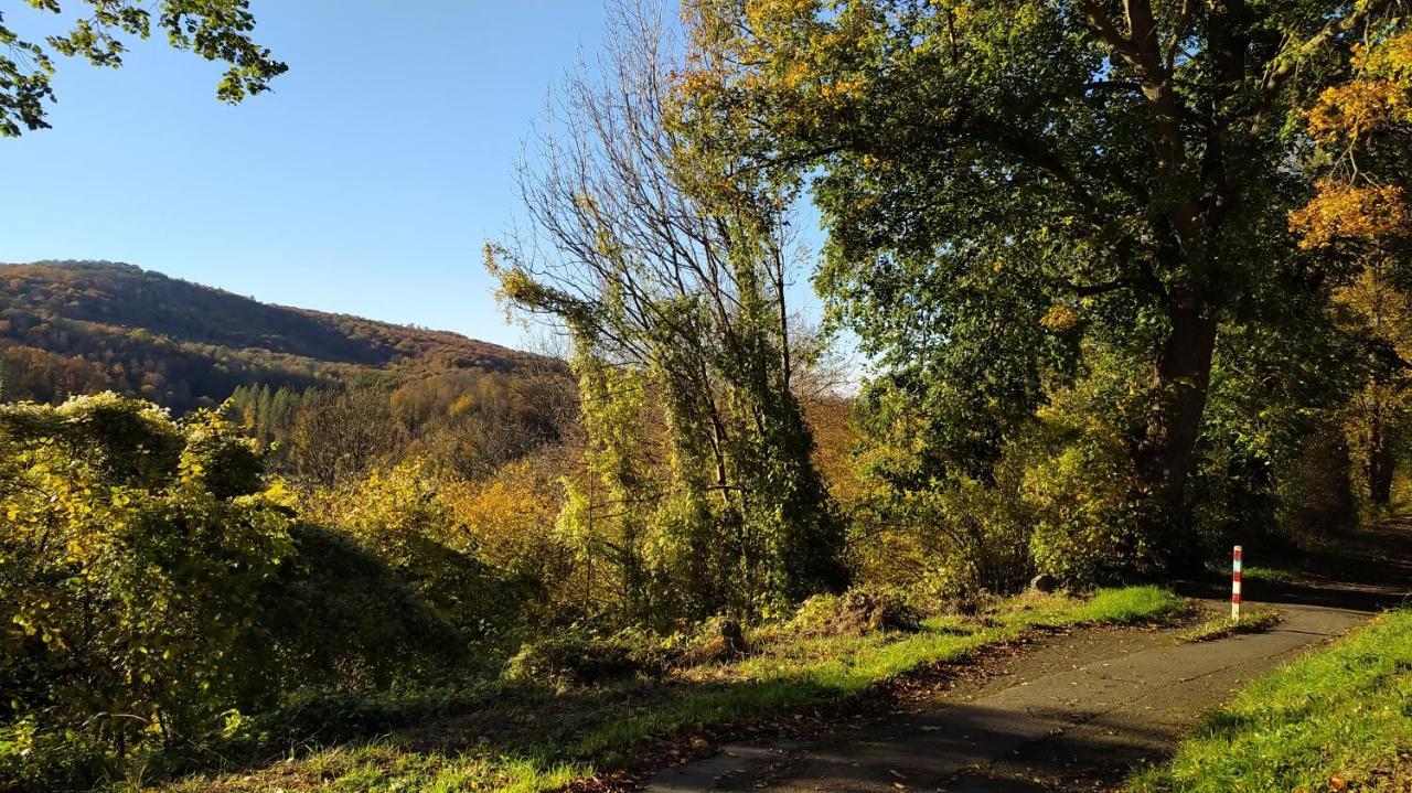 Panoramahaus Sauerland Arnsberg Exterior foto